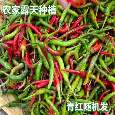 农家新鲜中辣青红辣椒露天种植小个头薄皮辣椒当季青椒红椒混装