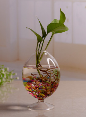 玻璃透明台面水培植物小花瓶