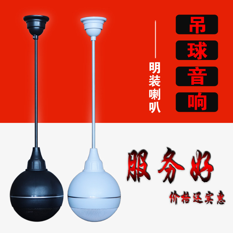 必龙室内居家店铺超市悬挂式20W吊球音箱同轴音响明装吸顶喇叭