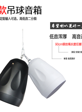 BILONG明装款店铺超市餐厅天花吊顶背景音乐吊球吸顶音箱音响M23