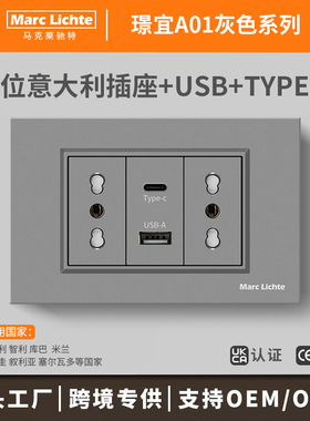 双位意大利圆孔三插16A大功率意规带USB+Type-C电源118型暗装灰色