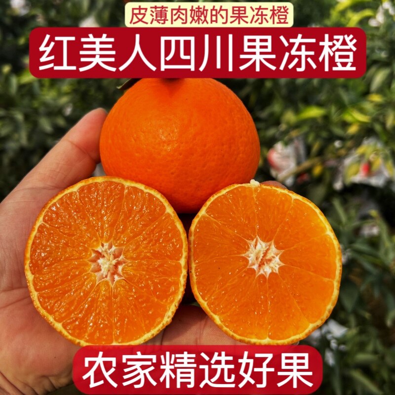 四川爱媛38号果冻橙新鲜手剥橙香甜多汁果园现摘红美人薄皮橘子