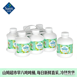早八吨桶0蔗糖早八吨吨桶低温酸奶每日新鲜直采冷链发货 山姆代购