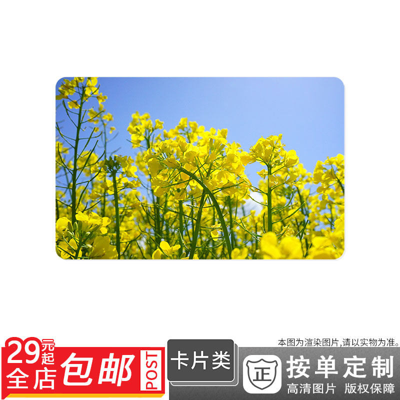 293835 natural Blue Sky Sunlight yellow flower Cleanse Cole Post cards Double-sided cards Single Sunscreenin the Personalized custom/Design Services/DIY , Other customized , Other product customization  category - from Buy2taobao.com to provide professional Taobao agent buy service