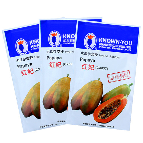 进口特大高产红心水果种子