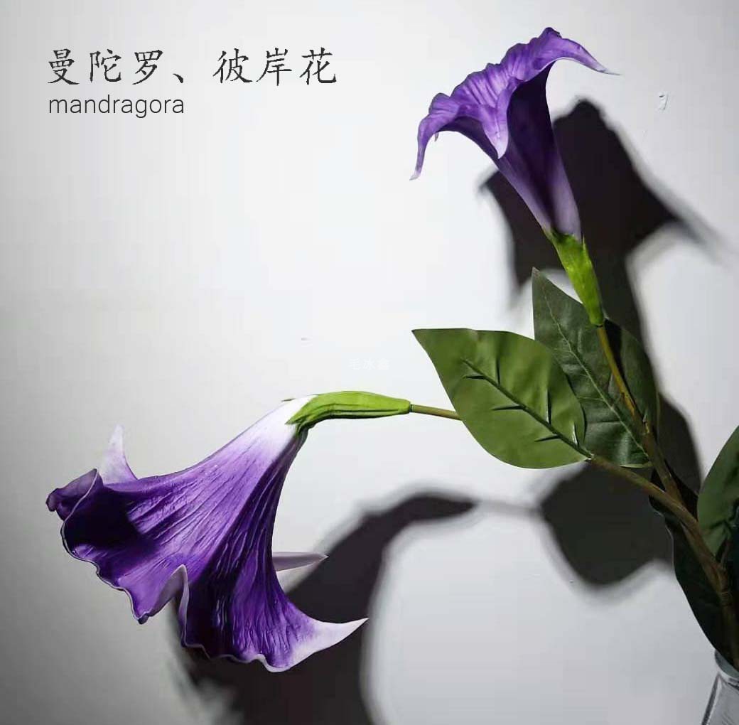 落地大花枝绿植仿真喇叭花