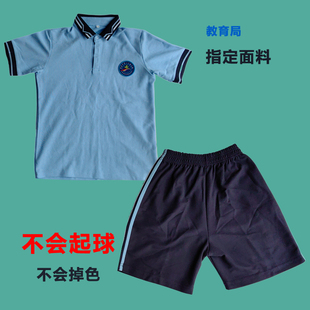 湛江市赤坎区24小校服套装同款短裤运动服夏装棉质短袖T恤衫夏季