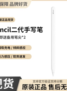 准新品 Apple/苹果Pencil 2代手写笔 海外版原装 电容笔 质保一年