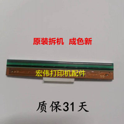 原装TSC TTP-244PRO/PLUS打印头 先擘4T200 4T300打印条码头