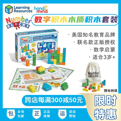 美国联名款数字积木木质积木套装