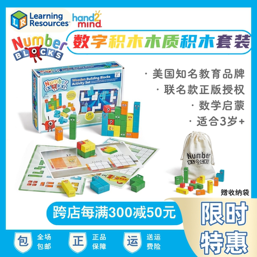 美国联名款数字积木木质积木套装