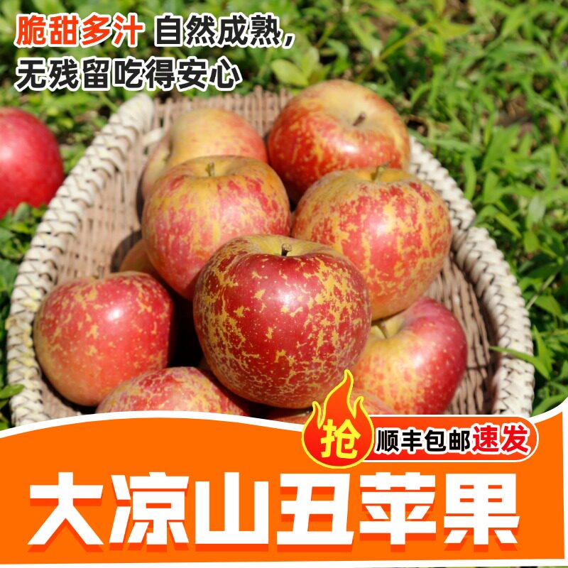 顺丰包邮大凉山盐源丑苹果