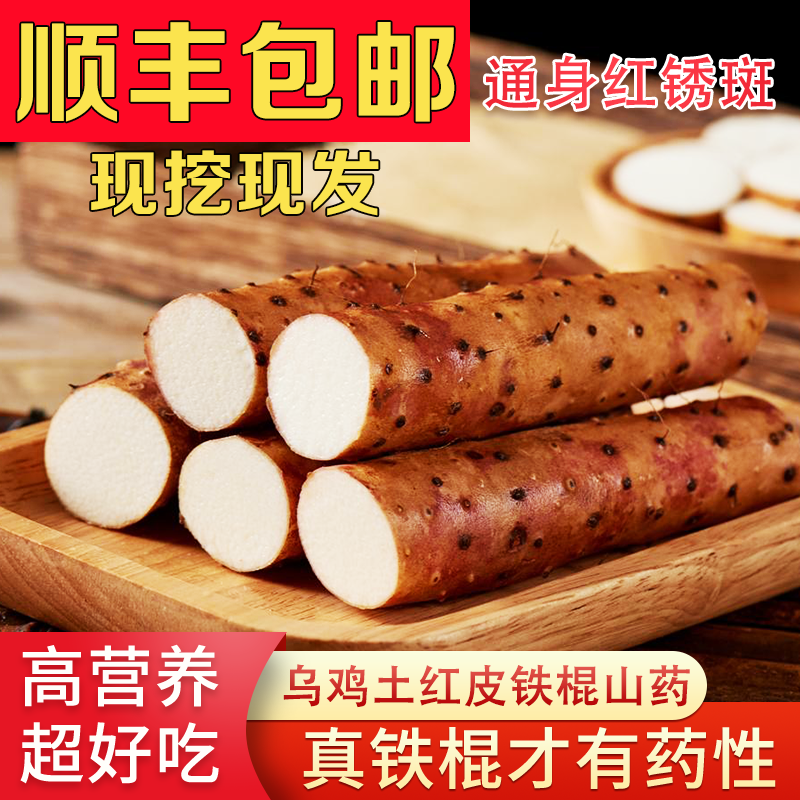 正宗温县2021精品铁棍铁棍山药