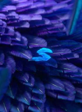 6个优质的C4D RS XP 动态图形工程源文件 C4D Redshift 工程