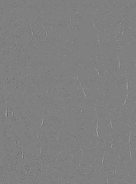 4K循环雨滴【Waterdrops 4k loop texture】