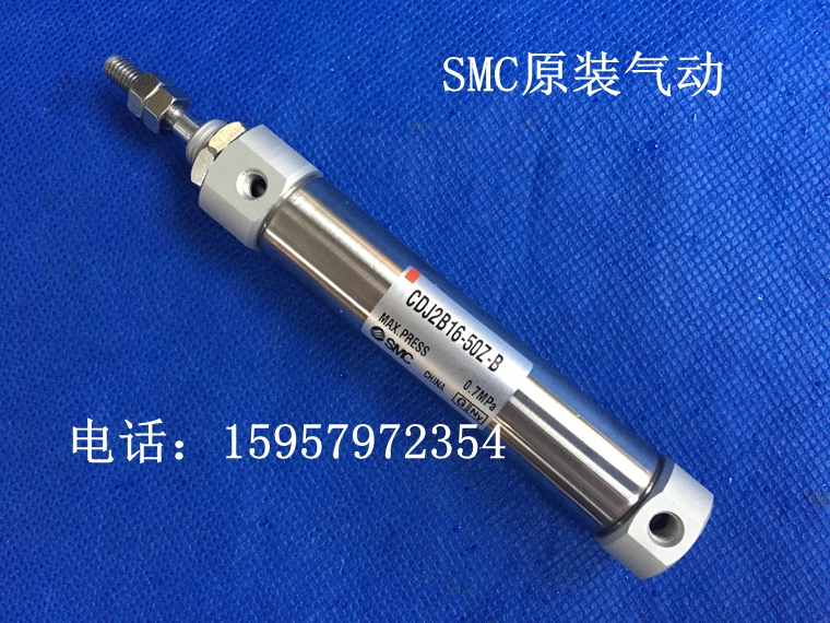 全新正品CJ2B10-125Z/150Z-B不锈钢迷你气缸CJ2B10-175Z/200Z