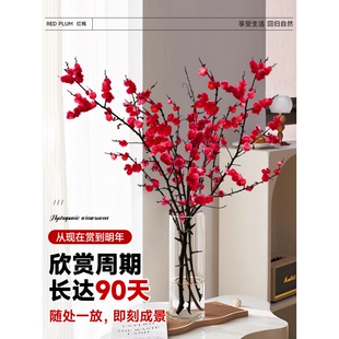 带花水培红梅花桃花树干枝珍珠李鲜花室内花卉雪柳盆栽切养绿植物