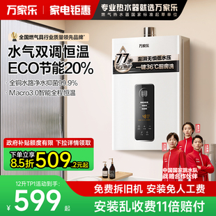 万家乐TP1恒温燃气热水器家用天然气液化气12 16升 政府补贴