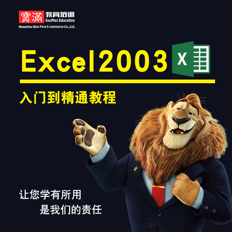 excel2003ÊÓÆµ½Ì³Ì Áã»ù´¡ÈëÃŵ½¾«Í¨×Ôѧoffice°ì¹«½Ìѧʵս½Ìѧ