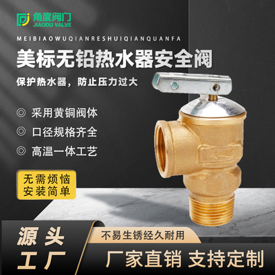 弹簧式无铅压力安全阀保护水箱