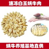 餐饮食用白玉蜗牛肉速冻餐饮蜗牛肉西餐冷冻蜗牛肉法式 焗蜗牛原料