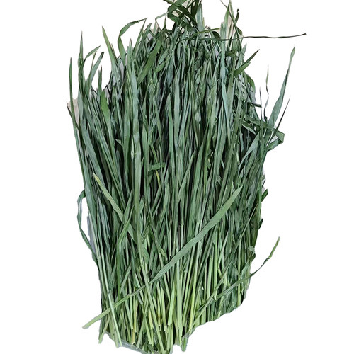 26年无穗烘干小麦草毛重1000克