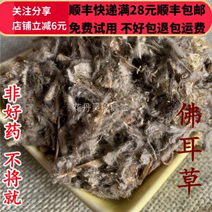 50g 佛耳草 中药材 正品 精选 无硫 可打粉 满28包邮