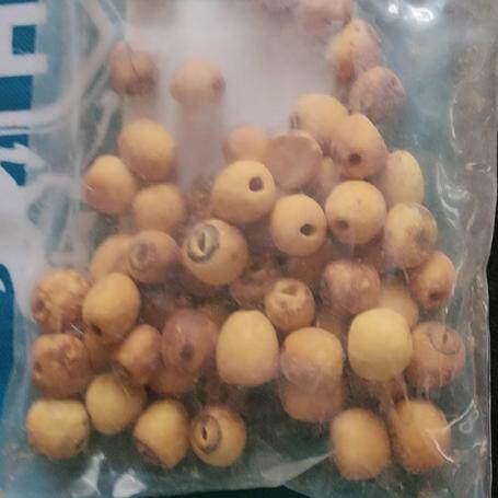 50克炒莲子熟莲子正品精选无硫