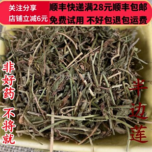 50g 半边莲 中药材 正品 精选 无硫 可打粉 满28包邮