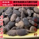 同品质 可打粉满28 中药材 同德 丝瓜络籽 50g 包邮