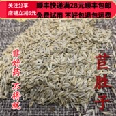 莴苣子 同品质 同德 可打粉 苣胜子 50g 包邮 无硫 满28
