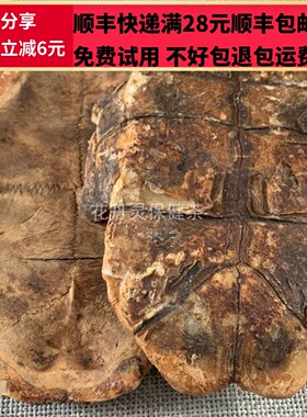 50g 炒龟板 个 醋龟板 中药材 正品精选无硫  可打粉 满28包邮