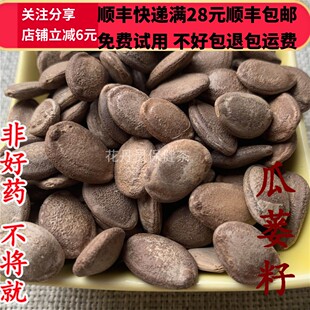 50g  瓜蒌籽 瓜蒌子 瓜蒌仁 中药材 正品精选无硫 可打粉满28包邮