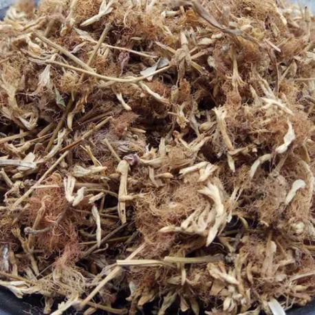 50克毛合欢花中药材精选无硫