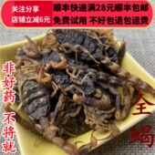 全虫 全蝎 10g 同德 无硫 清水 满28 可打粉 同品质 包邮