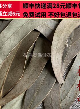 50克桉树叶中药材正品精选无硫