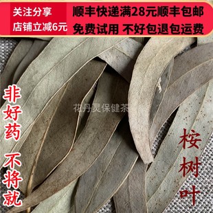 同德 同品质 中药材 桉树叶 50g 可打粉满28包邮