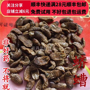 同德  同品质 蛴螬 无硫50g 可打粉 满28包邮
