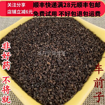 50克车前子中药材精选可打粉