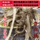 同品质 包邮 中药材 当归尾 同德 可打粉满28 当归须 50g