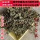 同品质 满28 鹅不食草 同德 50g 可打粉 包邮