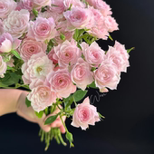 稀有粉色完美甜蜜多头玫瑰鲜花花束手捧花云南基地鲜切花花材礼物