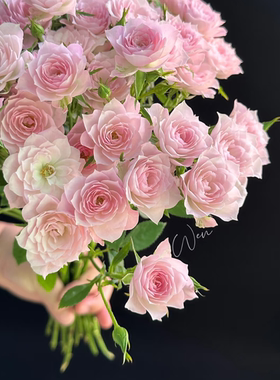 稀有粉色完美甜蜜多头玫瑰鲜花花束手捧花云南基地鲜切花花材礼物