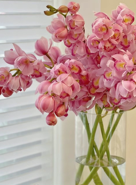 高级大花蕙兰花鲜切花女神节花束云南基地直发家用插花礼物花期长