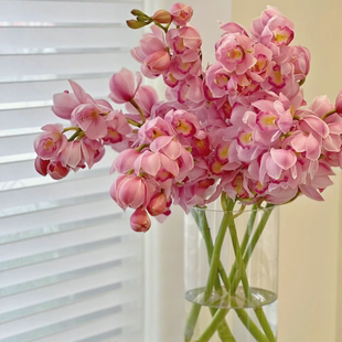 高级大花蕙兰花鲜切花女神节花束云南基地直发家用插花礼物花期长