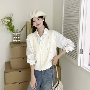 外穿小个子短款 设计感针织马甲背心女春秋新款 叠穿上衣