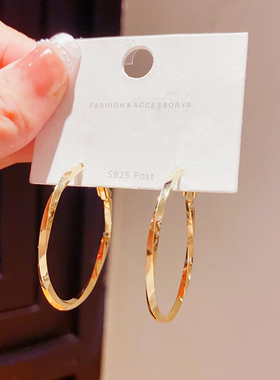 欧美风夸张金属大圆圈耳环设计感小众水波纹麻花耳圈个性时尚耳饰