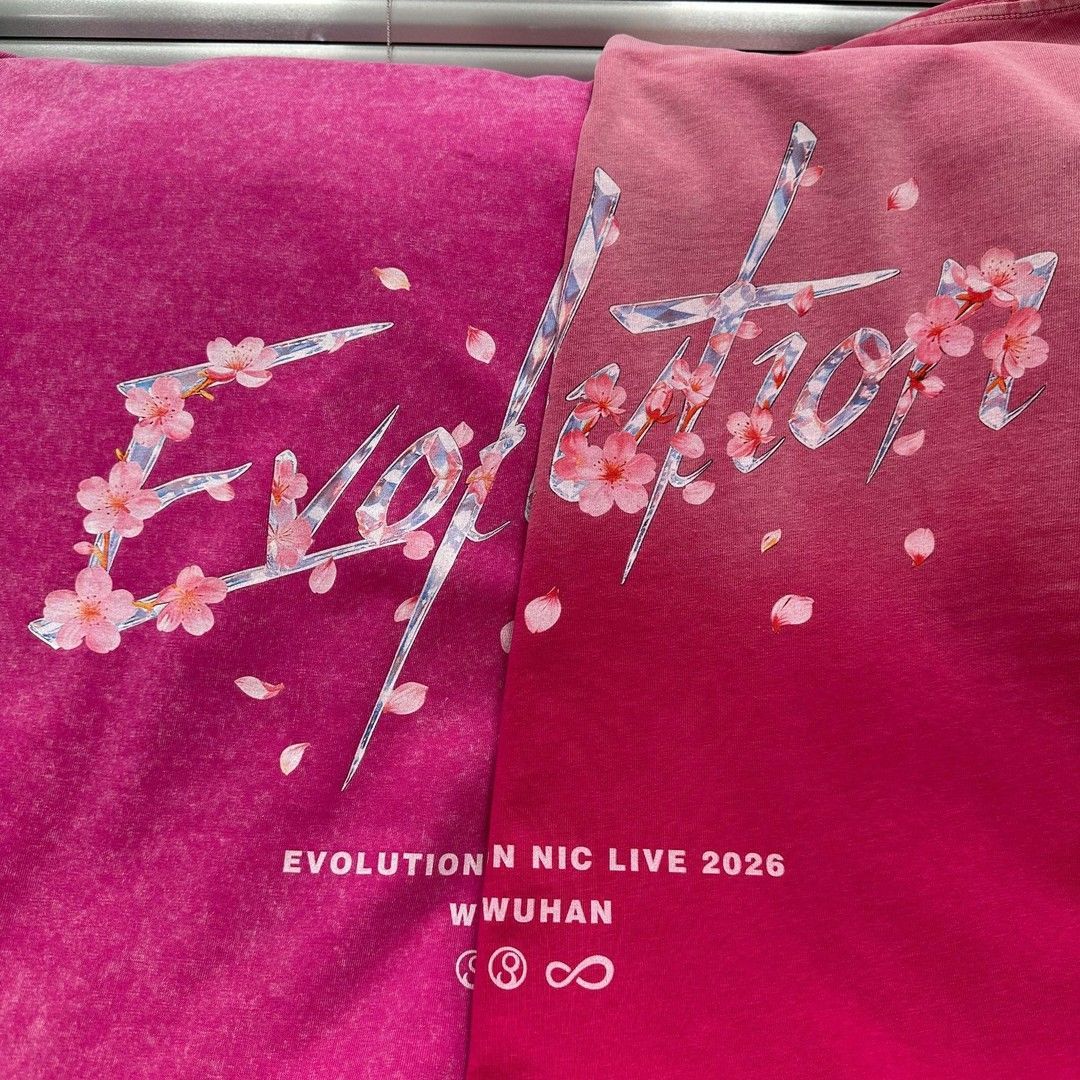 谢霆锋Evolution进化武汉演唱会锋迷应援服水洗夏季透气短袖T恤
