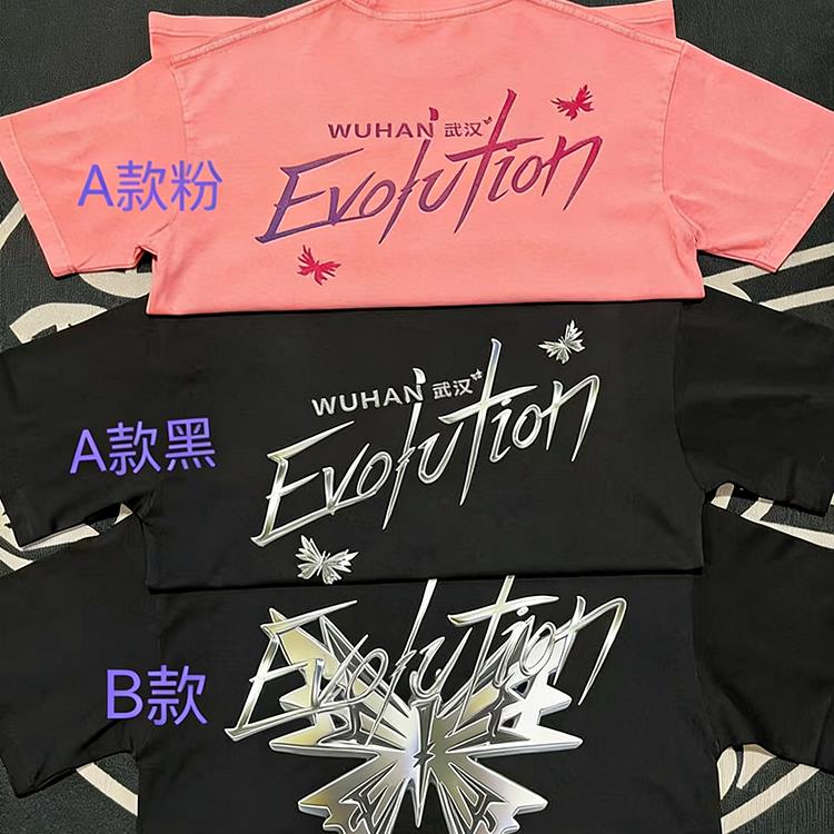 Evolution nic谢霆锋武汉进化版应援服纯棉短袖T恤时尚潮流百搭