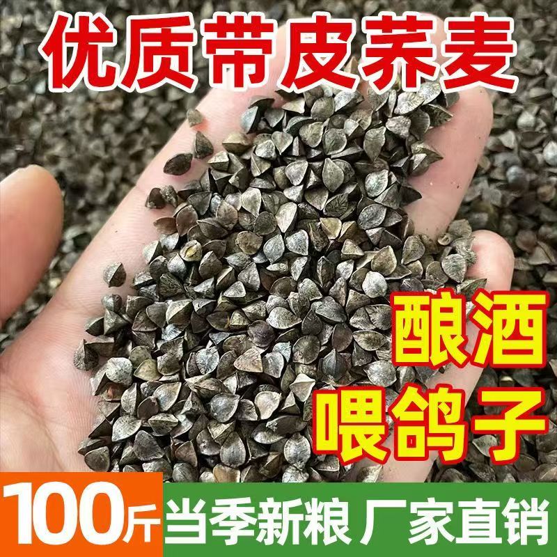 新粮甜荞优质荞麦带壳鸟粮玄凤虎皮鹦鹉饲料酿酒原粮仓鼠宠物零食